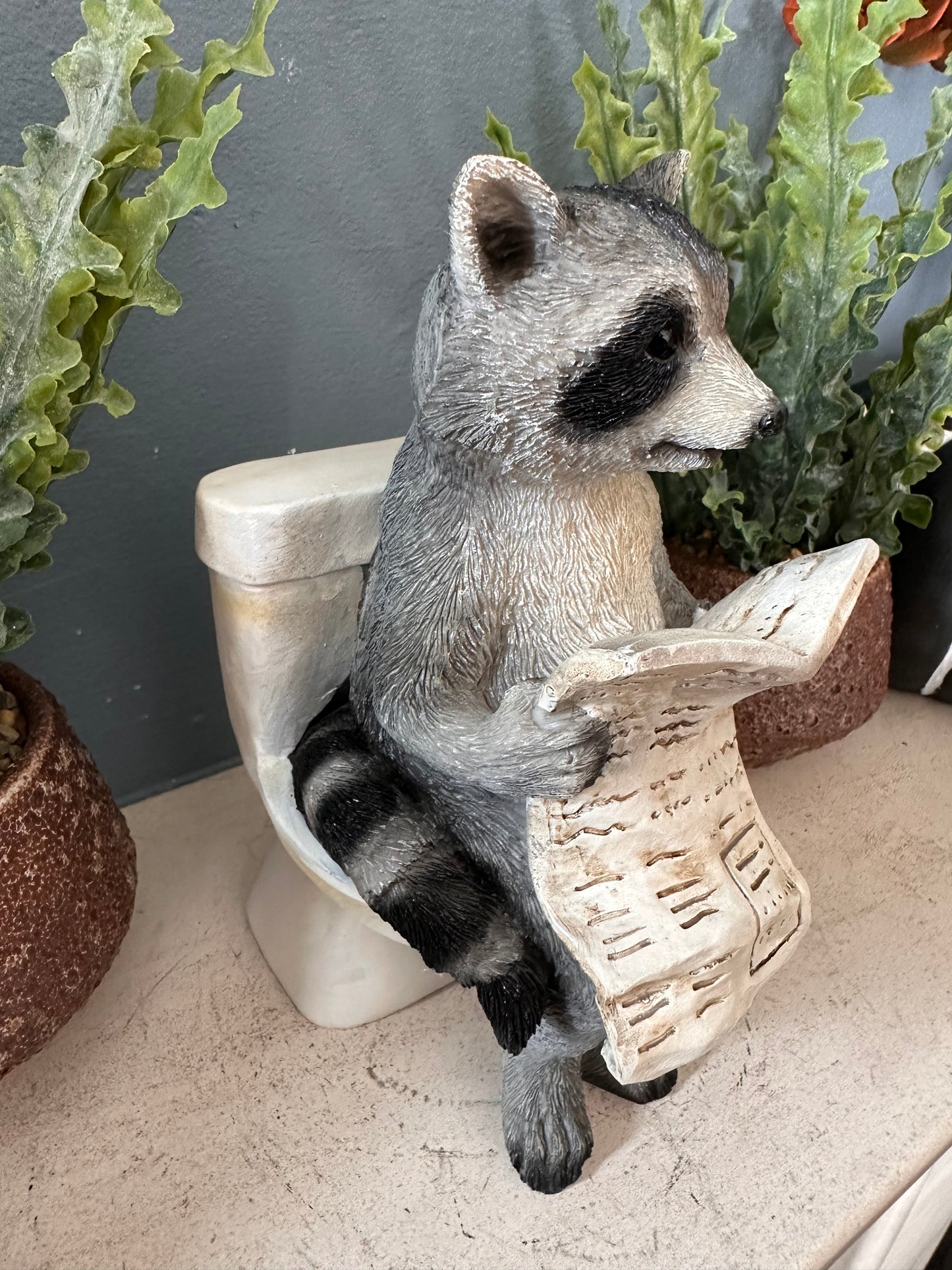 Decorative Racoon on a Loo
