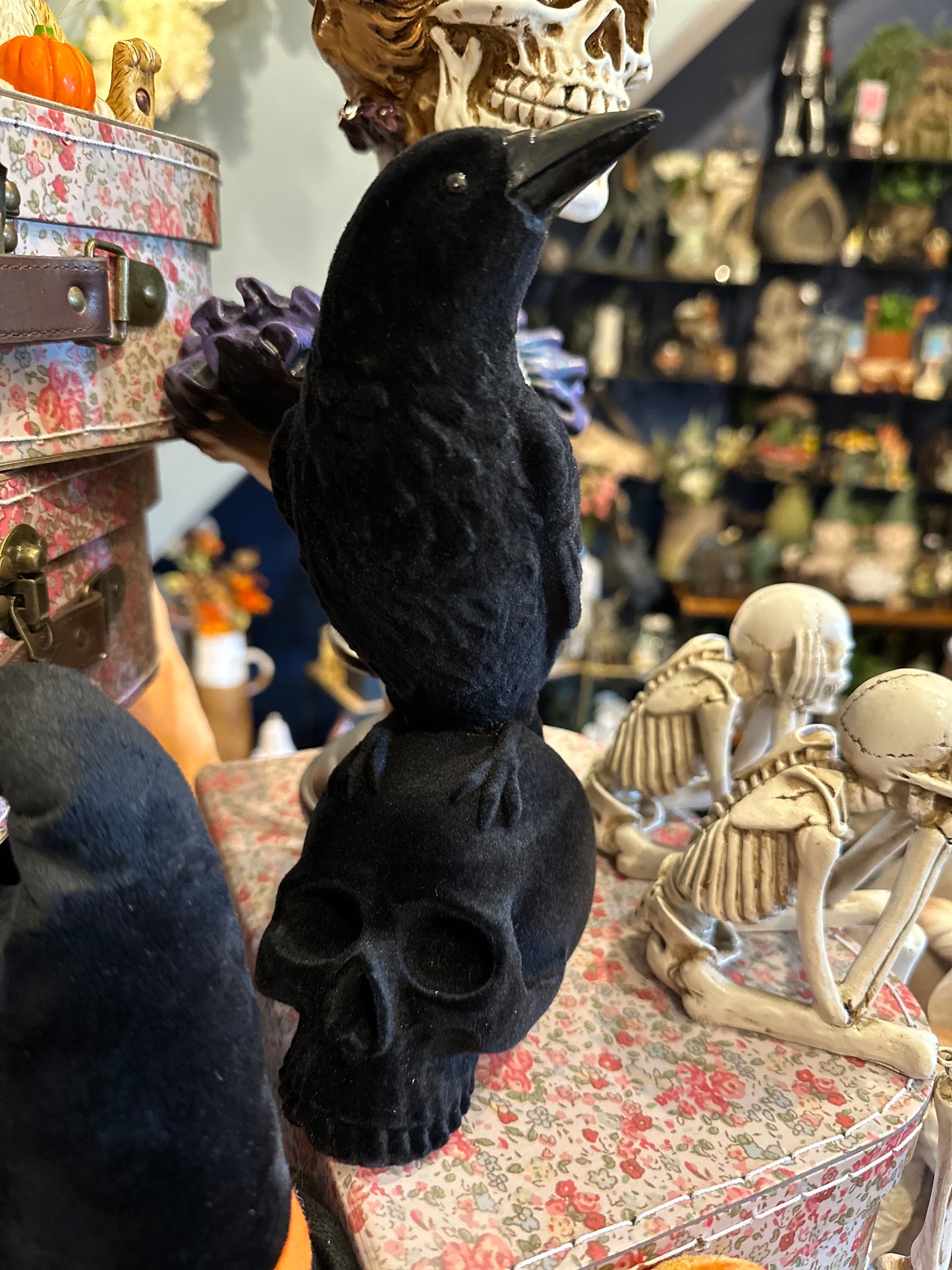 Black Velvet Crow and A Skull