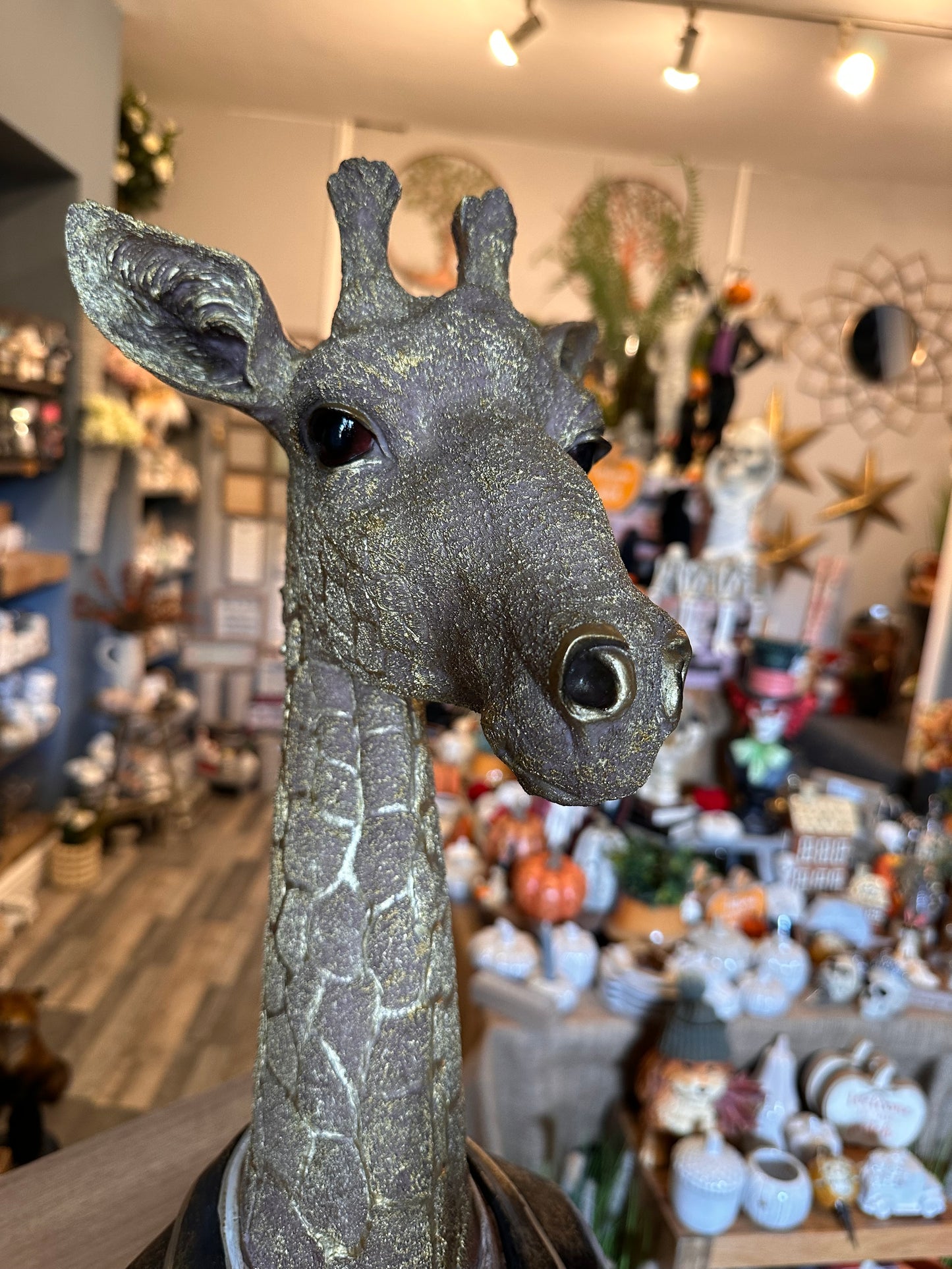 Stunning Large Quirky Gentleman Giraffe Bust