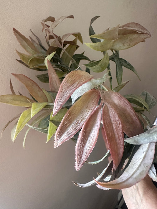 Autumn Leaf Bunch