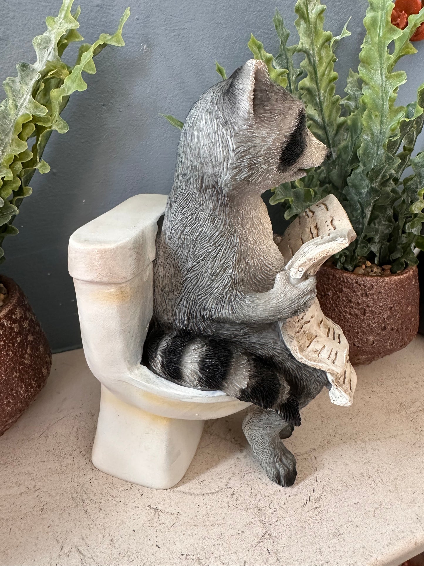 Decorative Racoon on a Loo
