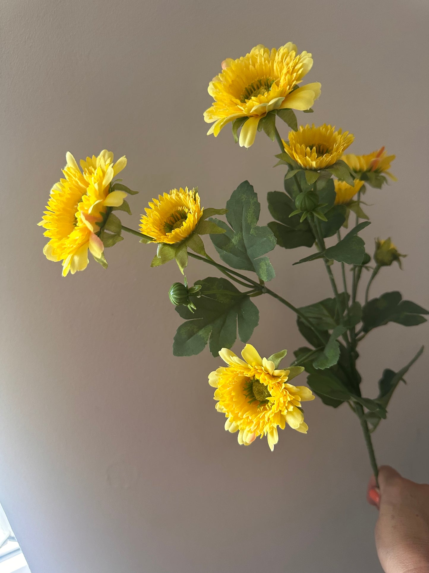 Wild Gerbera Spray ~ Yellow