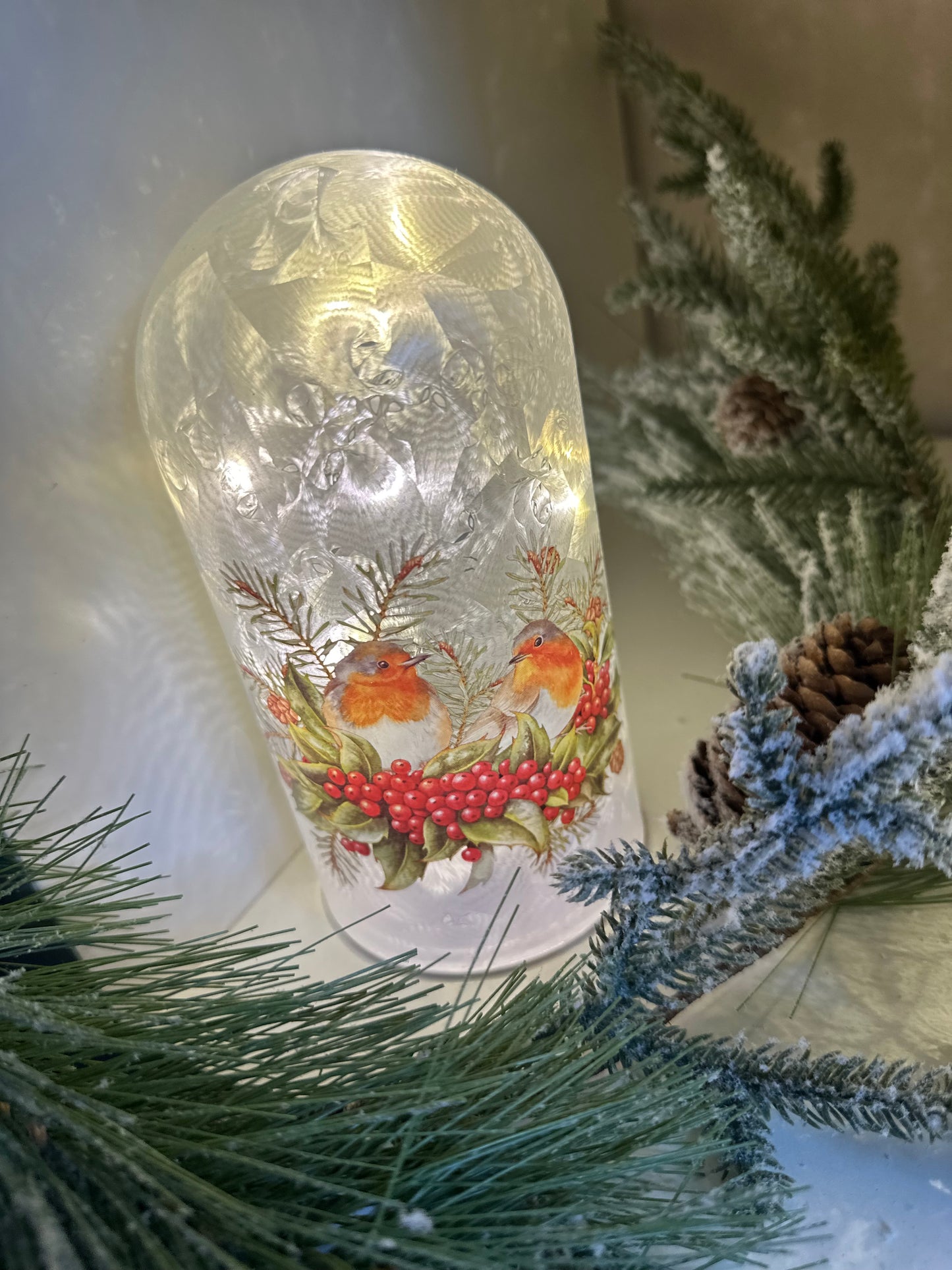 Robin Shaped Dome LED Decor