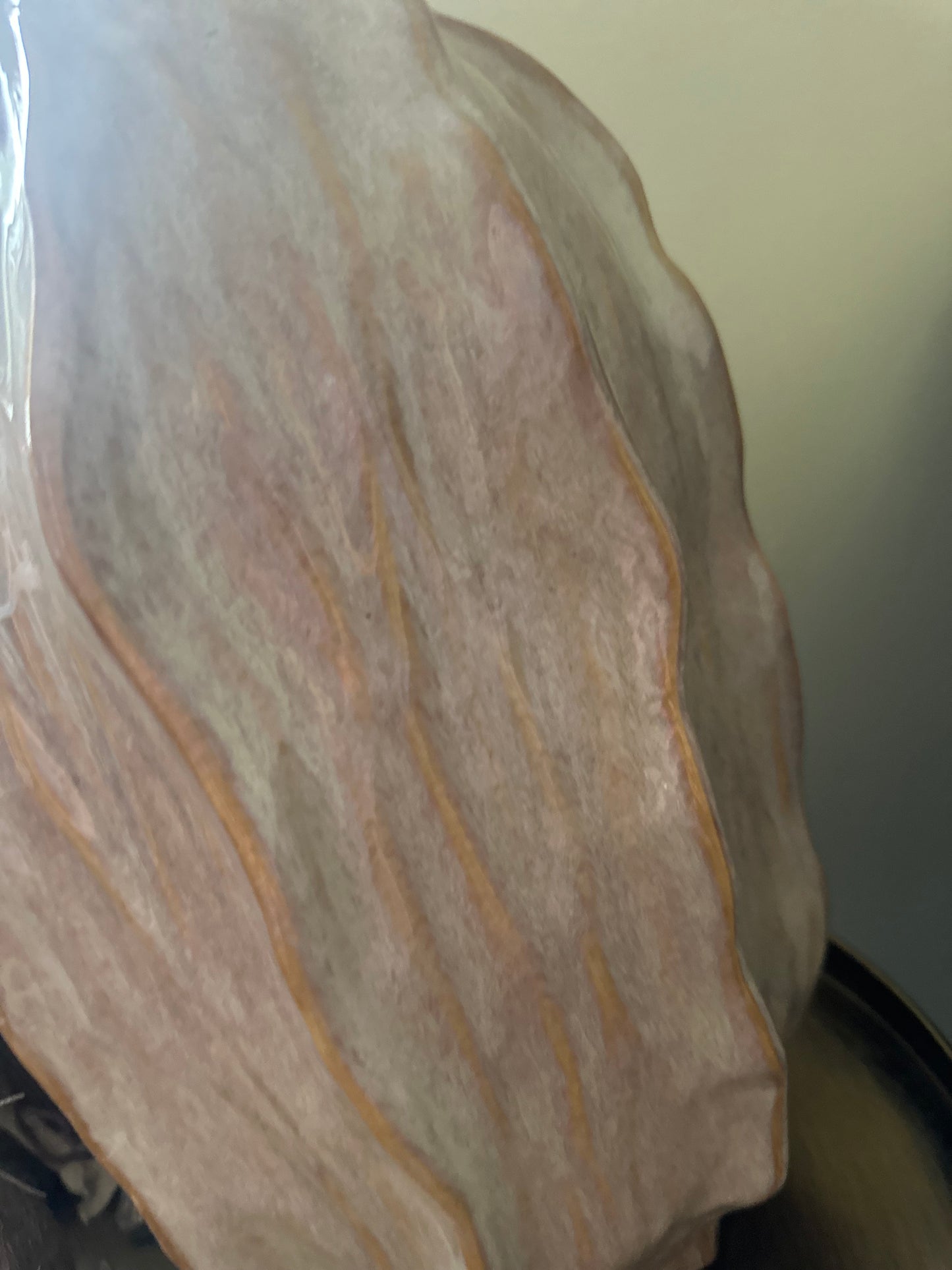 Stunning Statement Decorative Seed Pod Glazed Vase - Luxury Large Sculptural Design