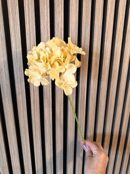 Yellow Hydrangea Thin Stem