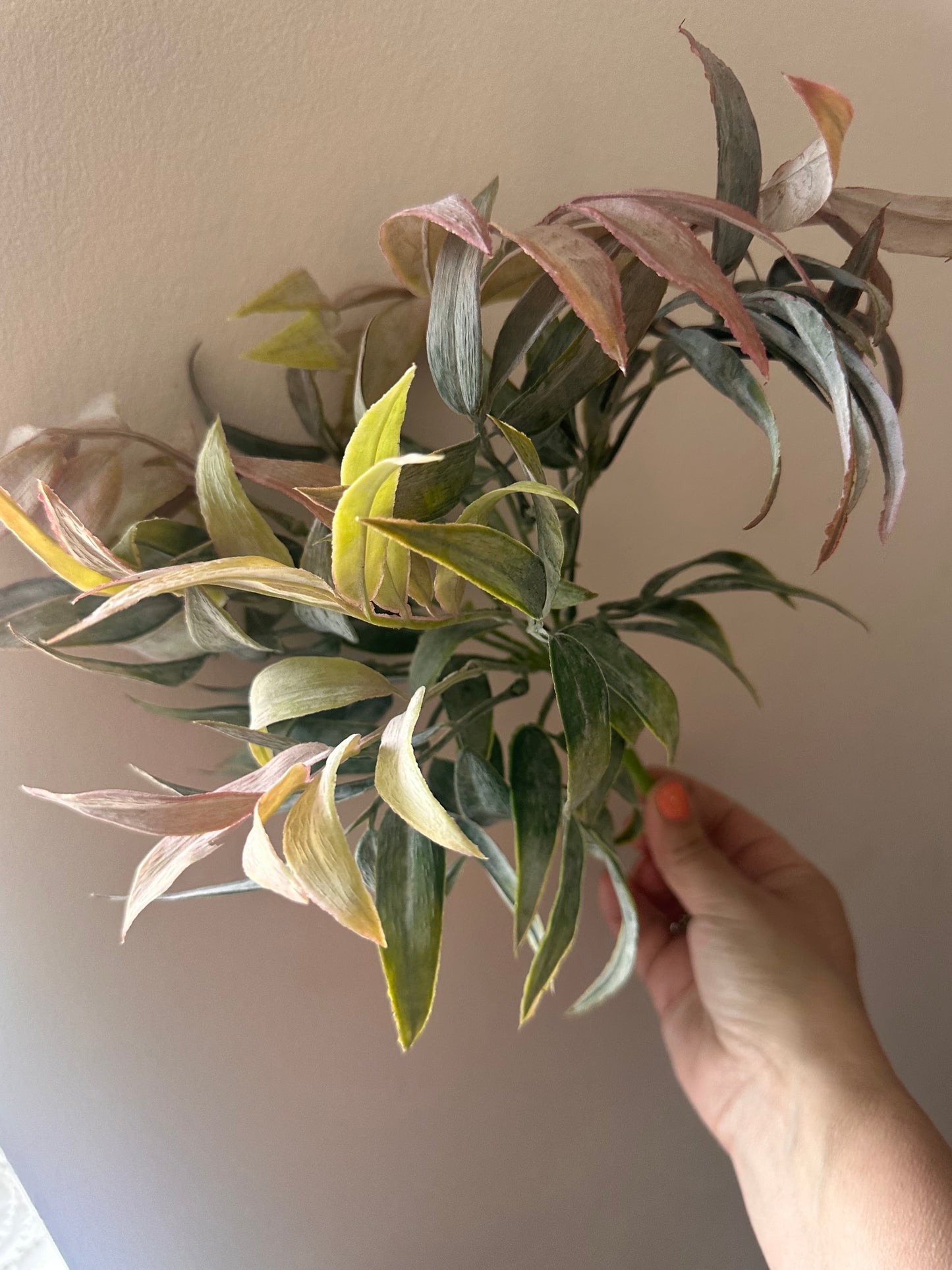 Autumn Leaf Bunch