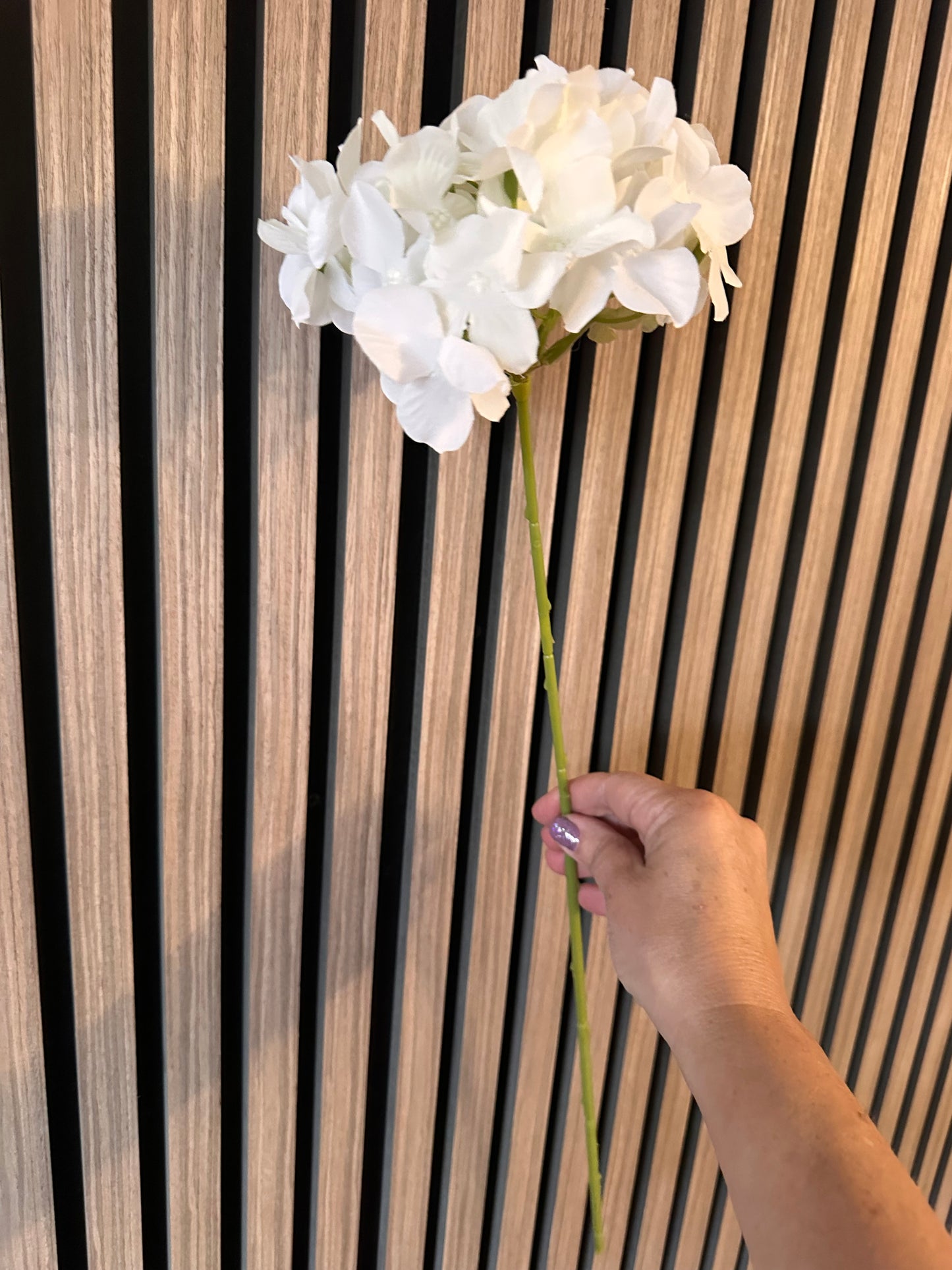 White Hydrangea Thin Stem