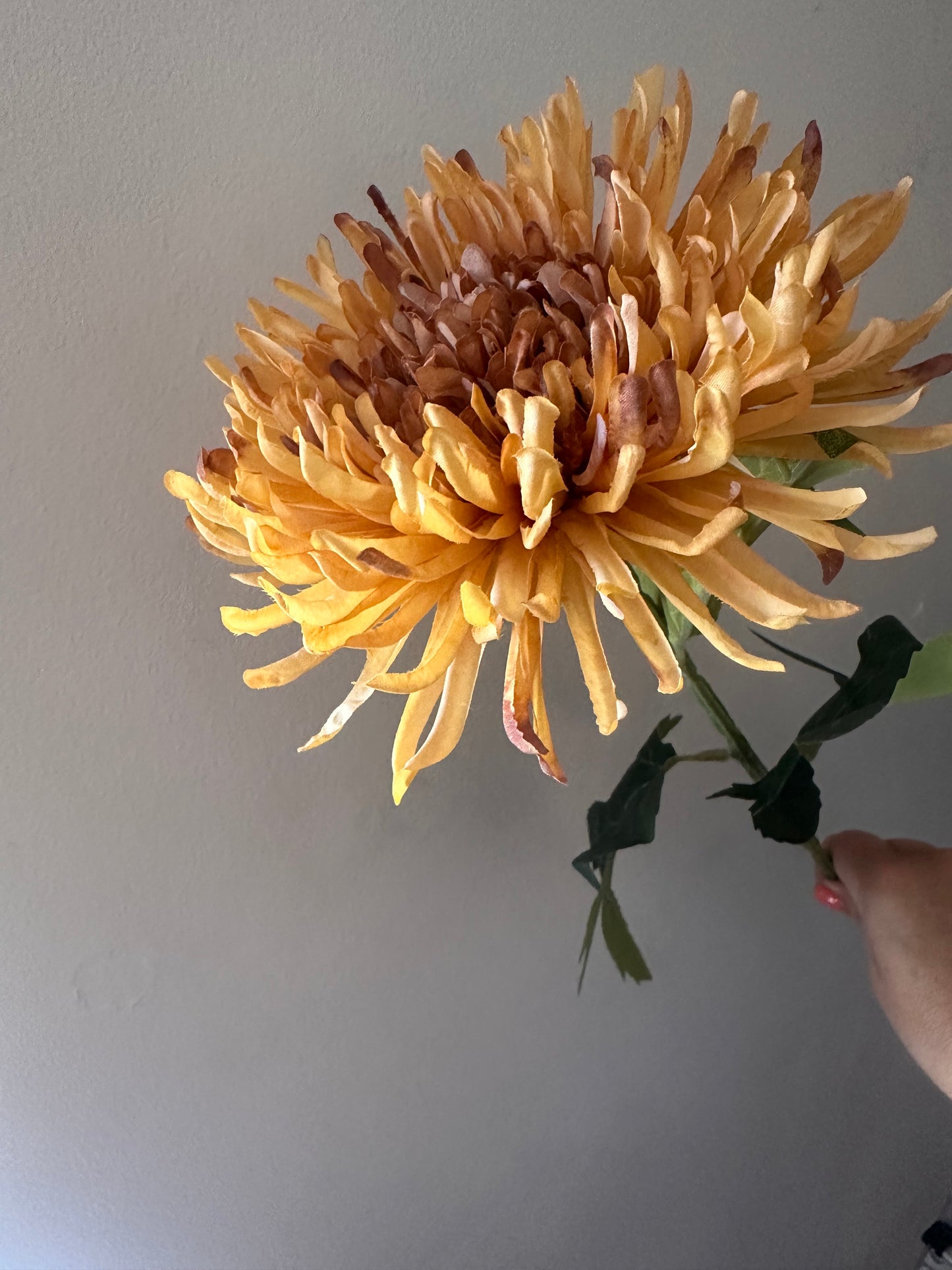 Faux Fuji Flower Stem ~ Honey