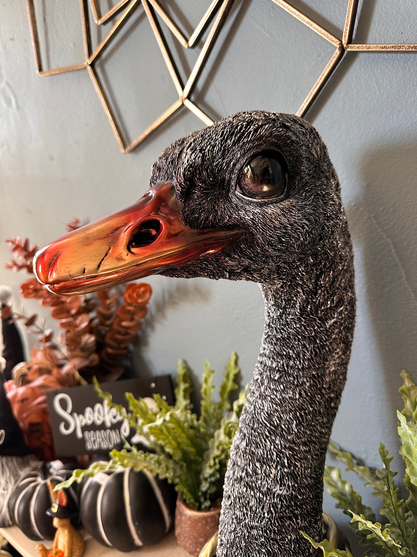 Decorative Quirky Emu