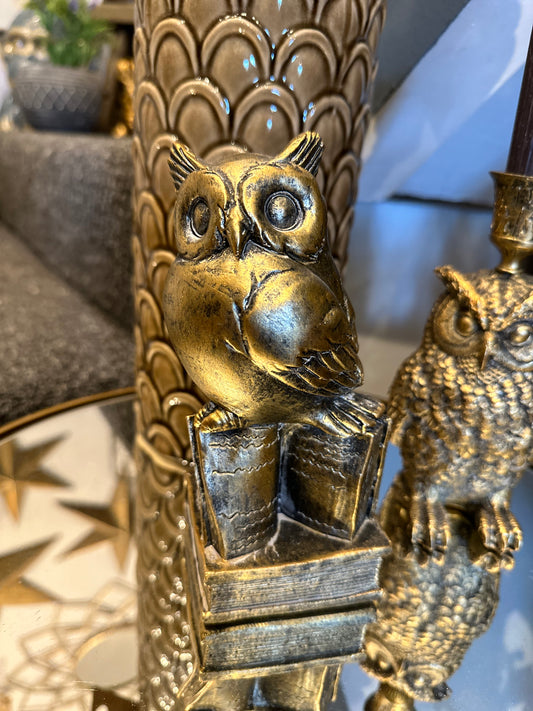 Gold Decorative Owl Stood on Books