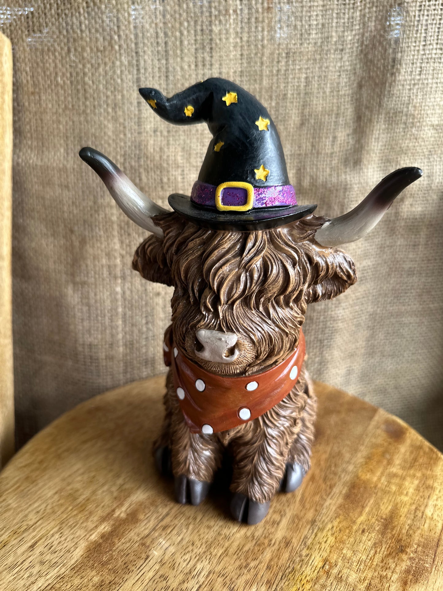 Decorative Large Witch Highland Cow
