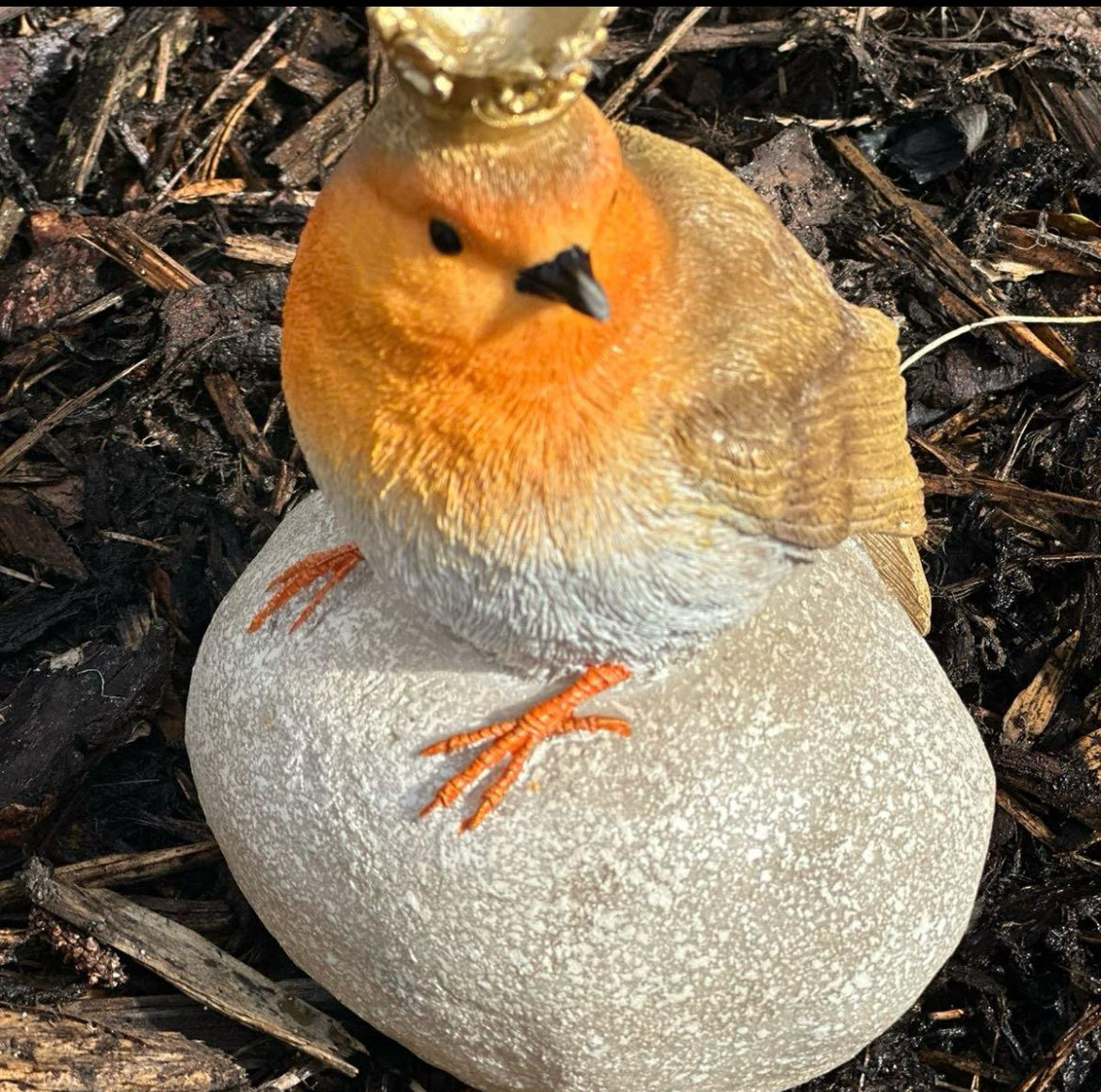 Gorgeous Resin Robin on a Stone