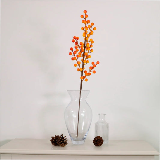 Seasonal Autumnal Orange Berries