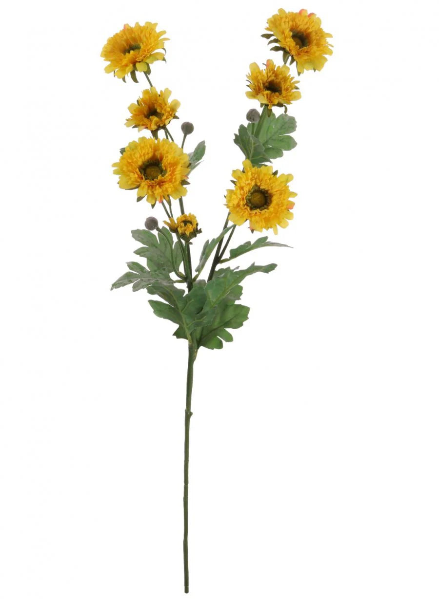 Wild Gerbera Spray ~ Yellow