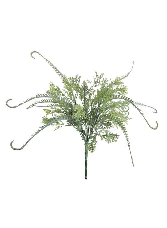 Dusted Twisted Fern