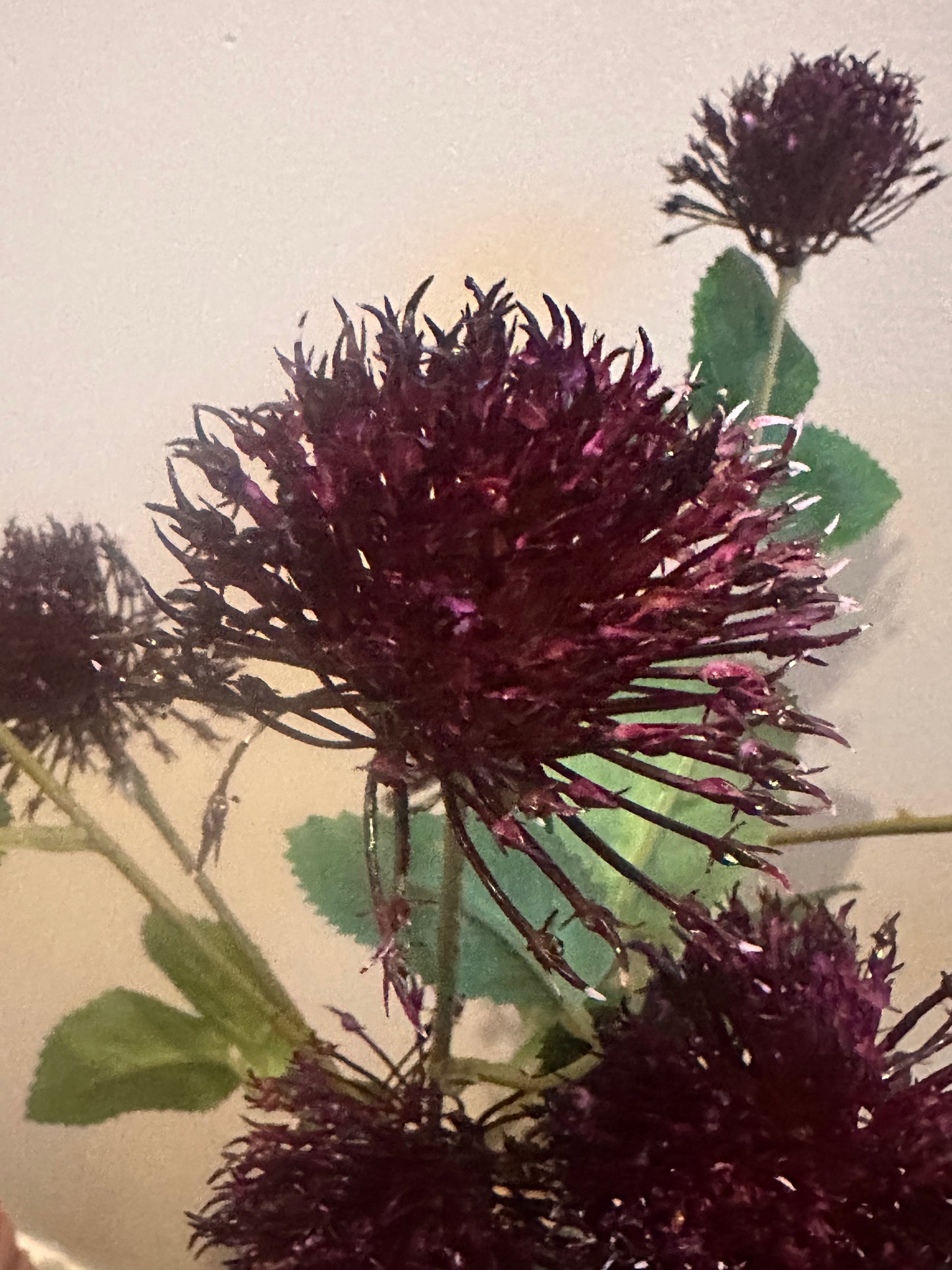 Faux Magenta Fireball Flowers